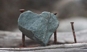 Fizik T5 – Daya dan Gerakan II